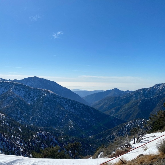 Meet your Posher, Blake - Picture 1 of 1